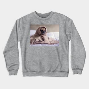 pug in a blanket Crewneck Sweatshirt